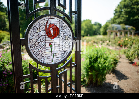 ARLINGTON, Virginie, États-Unis — le jardin de roses bon Air à Arlington, un jardin serein et magnifiquement aménagé avec une grande variété de roses. Les visiteurs se promènent le long des sentiers, admirant les fleurs vibrantes et les parfums. Le jardin offre une retraite tranquille et un endroit populaire pour la photographie et la détente. Banque D'Images