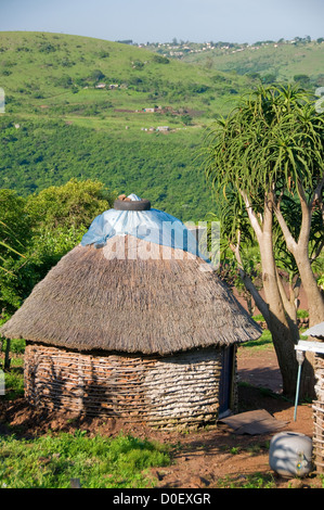 Les visiteurs à la typique Zulu homestead à KwaZulu Natal, Afrique du Sud devraient profiter de l'architecture unique de beaucoup de bâtiments. Banque D'Images