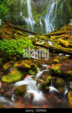 La base des chutes Proxy dans les trois Sœurs, Désert, forêt nationale de Willamette, Oregon. Banque D'Images