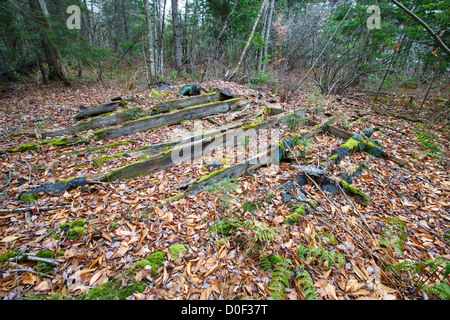 Vestiges d'une habitation à l'établissement chalet abandonné entourant l'étang de coude à Woodstock, New Hampshire, USA Banque D'Images