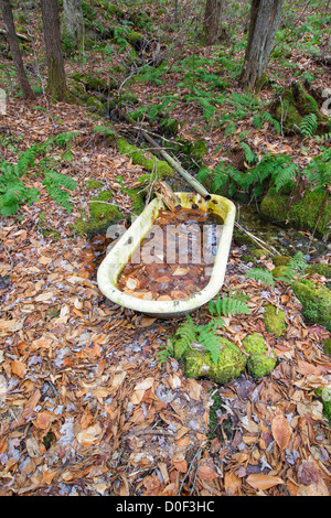 Artefacts de la cabine abandonnée autour de règlement étang coude à Woodstock, New Hampshire, USA Banque D'Images