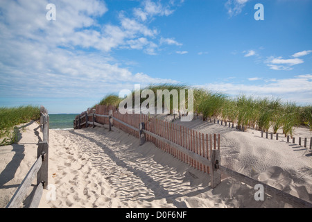 Une plage sur le Cape Cod avec dunes de sable Banque D'Images