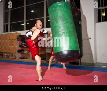 Les hommes chinois pratiquant le kickboxing kung fu, Zhejiang, Chine Banque D'Images