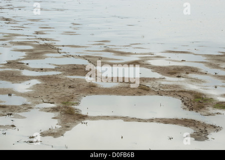 Empreintes sur un assèchement Indian Lake. L'Andhra Pradesh, Inde Banque D'Images