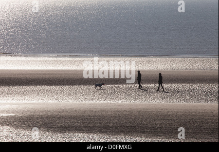 Golden Sunrise Beach - Romantic couple walking dog sur la plage Banque D'Images