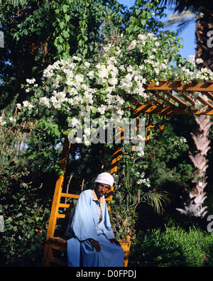 Homme égyptien traditionnel local dans l'usure assis dans son jardin, Le Caire, Egypte, Afrique du Nord Banque D'Images