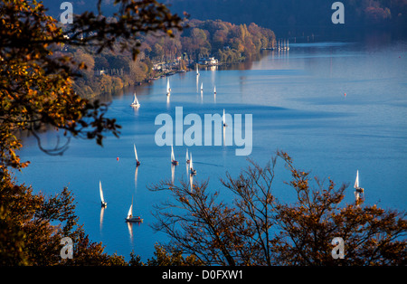 Le lac Baldeneysee à Essen, Allemagne. Bateaux à voile au cours d'une régate en automne. Banque D'Images