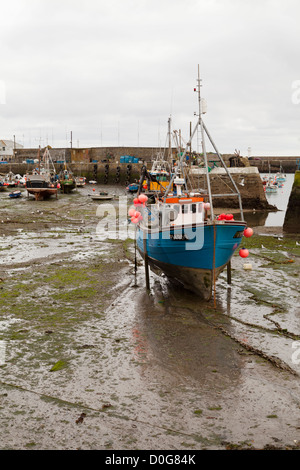 Mevagissey Harbour, Cornwall, à marée basse Banque D'Images