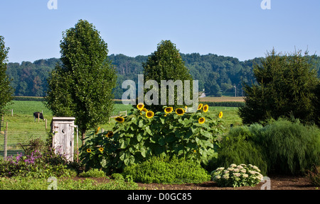 Un petit jardin de campagne familial Amish avec un palais de justice et des tournesols sur une ferme dans le comté de Lancaster, Pennsylvanie, États-Unis, jardinage de printemps Banque D'Images