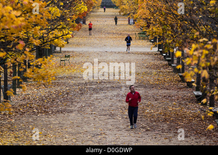 Les gens le jogging au cours de l'automne dans le jardin des Tuileries, Paris, France Banque D'Images