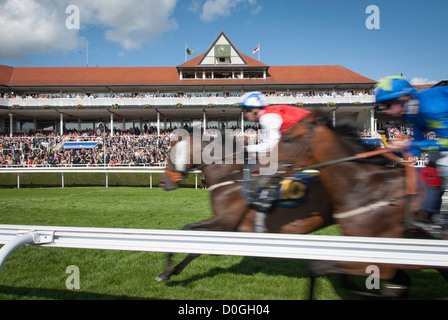 Hippodrome de Chester, connu sous le nom de Roodee, plus vieux pour les courses de chevaux courses Banque D'Images