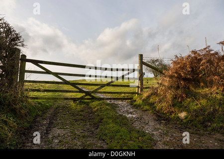 Le faible soleil d'automne brille à travers un champ gateway dans Rosedale, North York Moors, Angleterre Banque D'Images