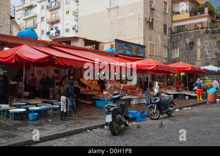 Mercato di Porta Nolana Naples centrale marché de fruits de mer de la ville région de Campanie en Italie Europe Banque D'Images