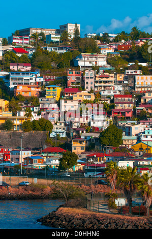 Martinique, Fort de France Caraïbes ; Banque D'Images