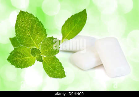 Sport et de mâcher des feuilles fraîches de menthe sur fond blanc Banque D'Images