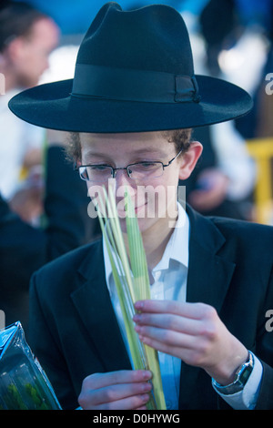 Un homme juif ultra-orthodoxe inspecte un Loulav dans les quatre espèces marché de Jérusalem Israël Banque D'Images