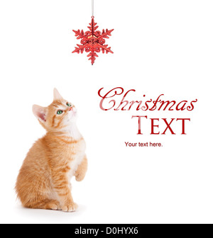 Orange mignon chaton jouant avec un ornement flocon de Noël rouge sur un fond blanc. Banque D'Images