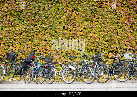 Prêt de s'appuyer contre un mur de feuilles à Copenhague, Danemark. La ville danoise est célèbre pour sa culture de cyclisme. Banque D'Images