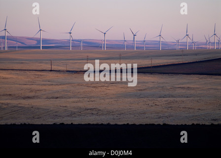 Éoliennes au Klondike Wind Farm dans le centre de l'Oregon. Banque D'Images