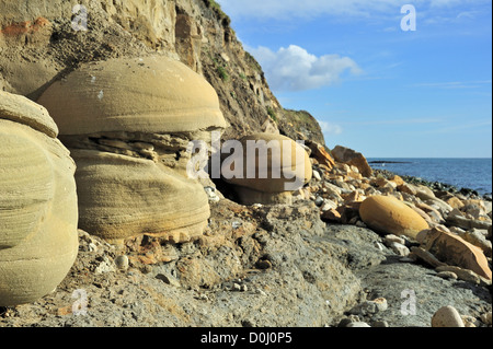 Grès arrondi des nodules sur plage près de Osmington Mills de formation Bencliff Grit, Jurassic Coast, Dorset, Angleterre du Sud, UK Banque D'Images