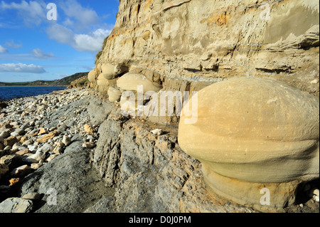 Grès arrondi des nodules sur plage près de Osmington Mills de formation Bencliff Grit, Jurassic Coast, Dorset, Angleterre du Sud, UK Banque D'Images