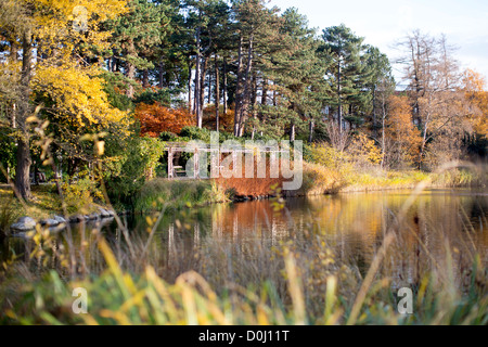 Jardins botaniques de l'Université de Copenhague, Copenhague, Danemark, illustrée à l'automne. Banque D'Images