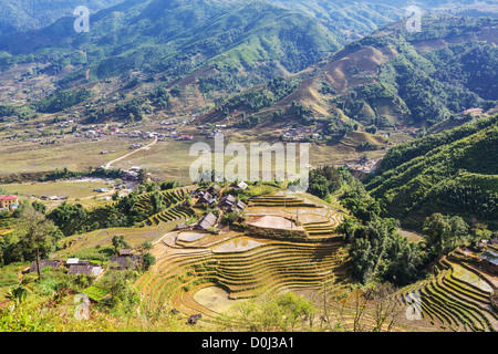 Terrasses de riz dans le nord du Vietnam, Sapa Banque D'Images