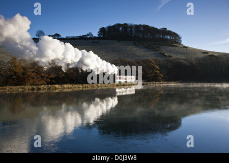 Railmotor sur l'embranchement de Looe Banque D'Images