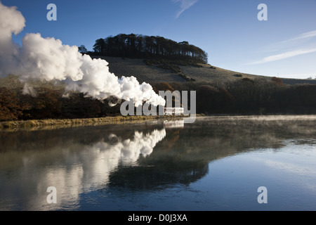 Railmotor sur l'embranchement de Looe Banque D'Images