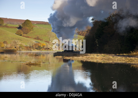 Railmotor sur l'embranchement de Looe Banque D'Images