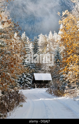 Un abri en bois se niche le long d'une piste couverte de neige au milieu d'une forêt Banque D'Images