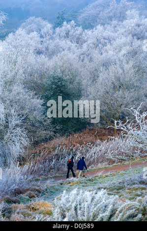 Les marcheurs dans les collines de Malvern. Banque D'Images