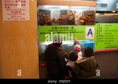 Les enfants regardent les homards vivants pour la vente dans le food court du Nouveau Monde Mall dans le quartier de Flushing Queens à New York Banque D'Images