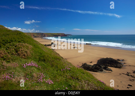 La large plage de sable de Marloes. Banque D'Images