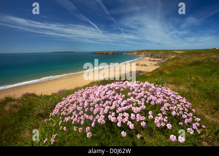 La large plage de sable de Marloes du sentier côtier du Pembrokeshire. Banque D'Images