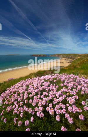 La large plage de sable de Marloes du sentier côtier du Pembrokeshire. Banque D'Images