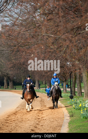 L'équitation dans Hyde Park à Londres. Banque D'Images