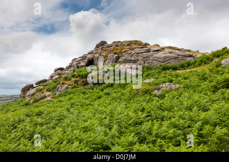 Dans le Tor Bell Parc National de Dartmoor. Banque D'Images