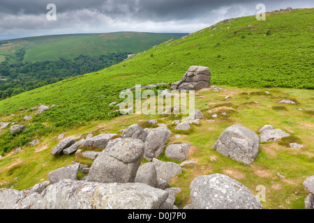 Chinkwell Entre roches et Tor Tor Bell dans le Parc National de Dartmoor. Banque D'Images