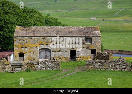 Une ancienne grange en pierre au coeur de l'Angleterre de la Yorkshire Dales, près de la ville de Hawes. Banque D'Images