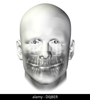 Dentaire dents scan x-ray de mâles adultes. 3d illustration sur fond blanc. Banque D'Images