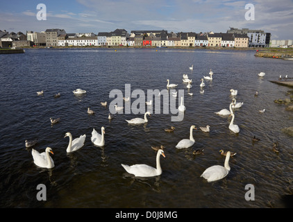 Vue depuis le bassin de Claddagh, de l'autre côté de la rivière Corrib, vers la longue marche à Galway, en Irlande. Banque D'Images