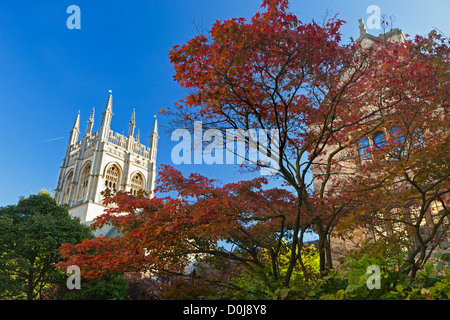 Vue de Merton College Chapel à Oxford en automne. Banque D'Images