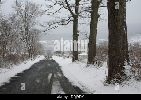 Trois vieux érables debout à côté d'une route de campagne et glissante de la Massachusetts Berkshires. Banque D'Images
