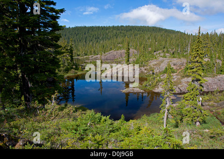 Sous -tarn alpin au parc Strathcona, Forbidden Plateau ,l'île de Vancouver, BC, Canada en Septembre Banque D'Images