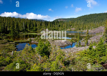 Sous -tarns alpin dans la Cité Interdite, le parc Strathcona, sur l'île de Vancouver, BC, Canada en Septembre Banque D'Images