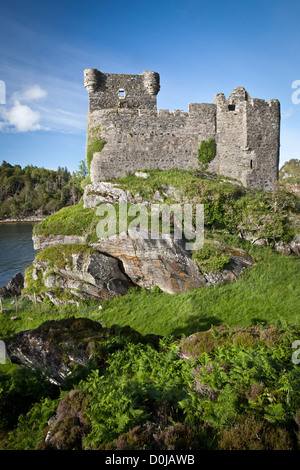 Une vue vers le château de Tioram Loch Moidart qui est sur une île appelée marée de Tioram Eilean. Banque D'Images