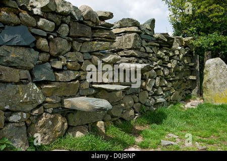 Stile situé dans un mur en pierre sèche. Banque D'Images