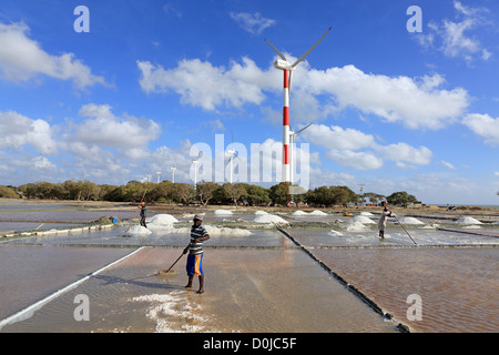 Les éoliennes et la ferme du sel à Puttalam, Sri Lanka. Banque D'Images