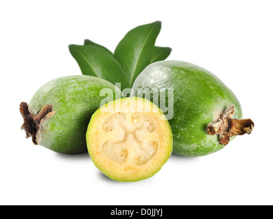 Fruits tropicaux (Acca sellowiana feijoa) isolated on white Banque D'Images